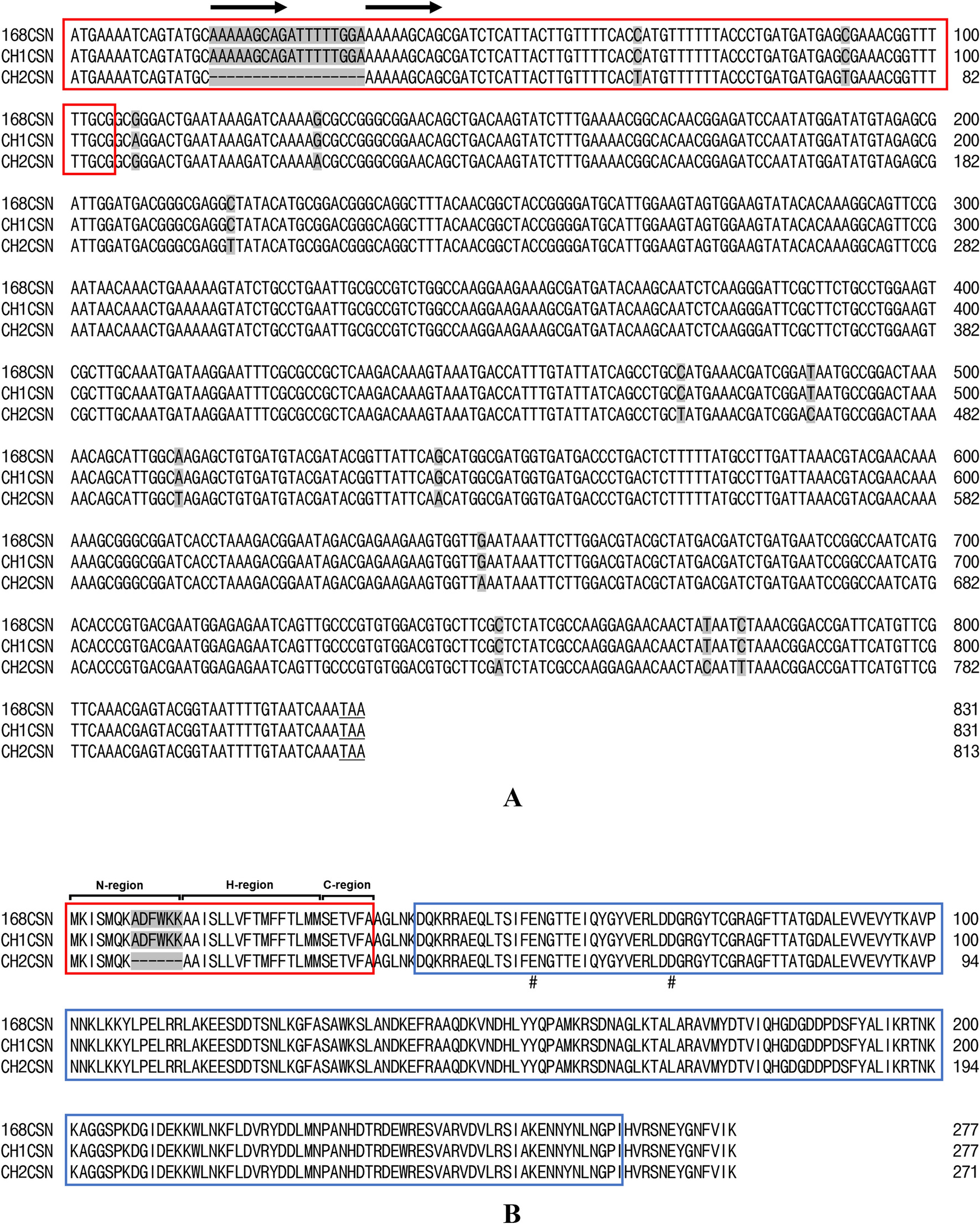 Comparative Secretory Efficiency of Two Chitosanase Signal Peptides from  in