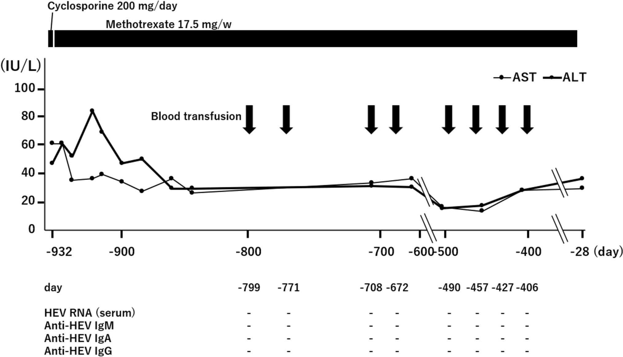 Delayed recurrence of hepatitis E virus RNA in serum and feces after ribavirin therapy for chronic hepatitis E: importance of extended follow-up