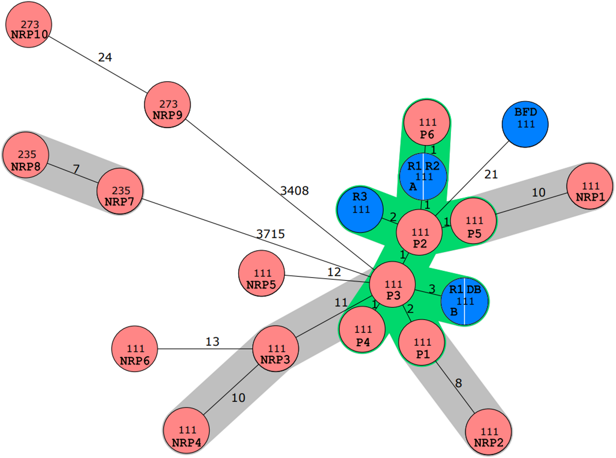 Hidden transmissions of Pseudomonas aeruginosa ST111 –the importance of continuous molecular surveillance
