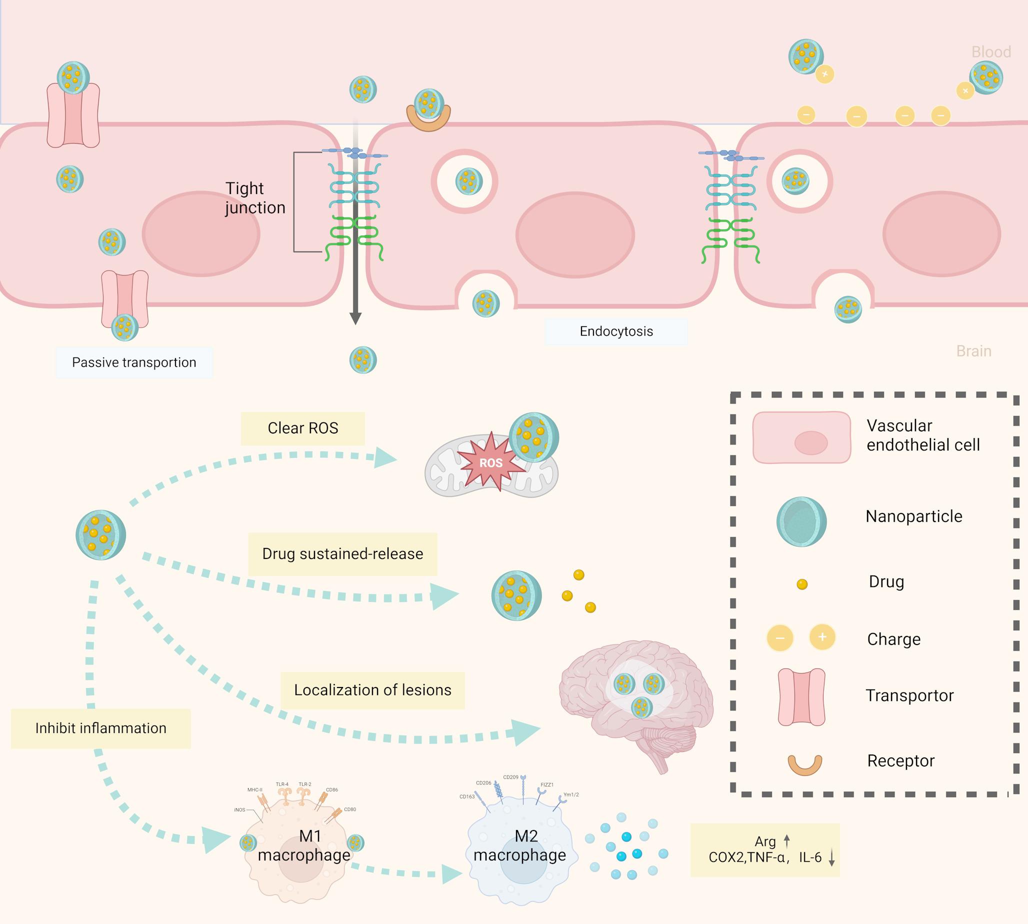 Application of nanomaterials in central nervous system disorders
