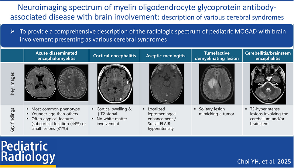 Neuroimaging spectrum of myelin oligodendrocyte glycoprotein antibody-associated disease with brain involvement: description of various cerebral syndromes