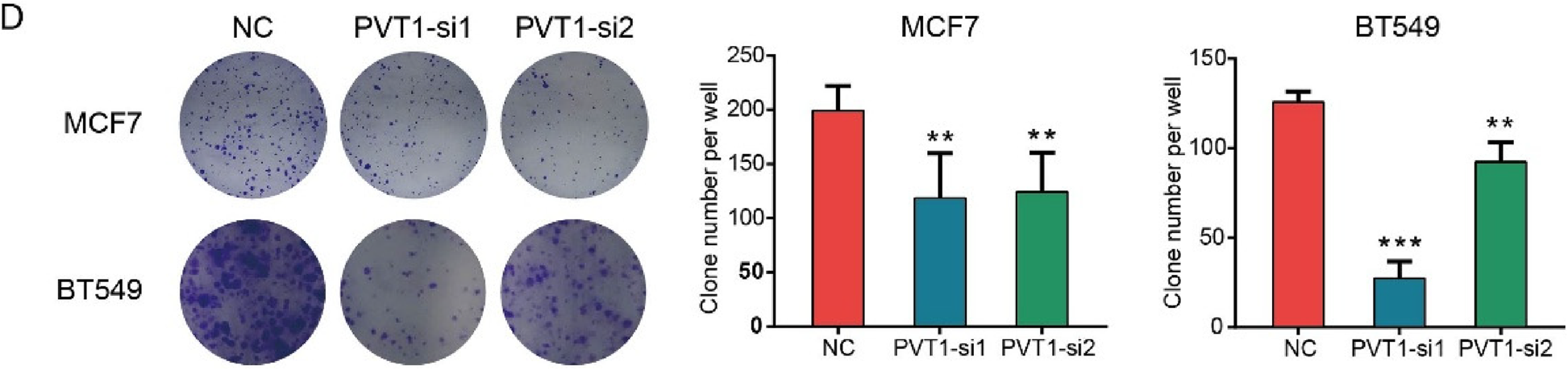 Correction: Knockdown of PVT1 inhibits cell proliferation in luminal and basal-like breast cancer subtypes by activating LATS2/Hippo signaling pathway