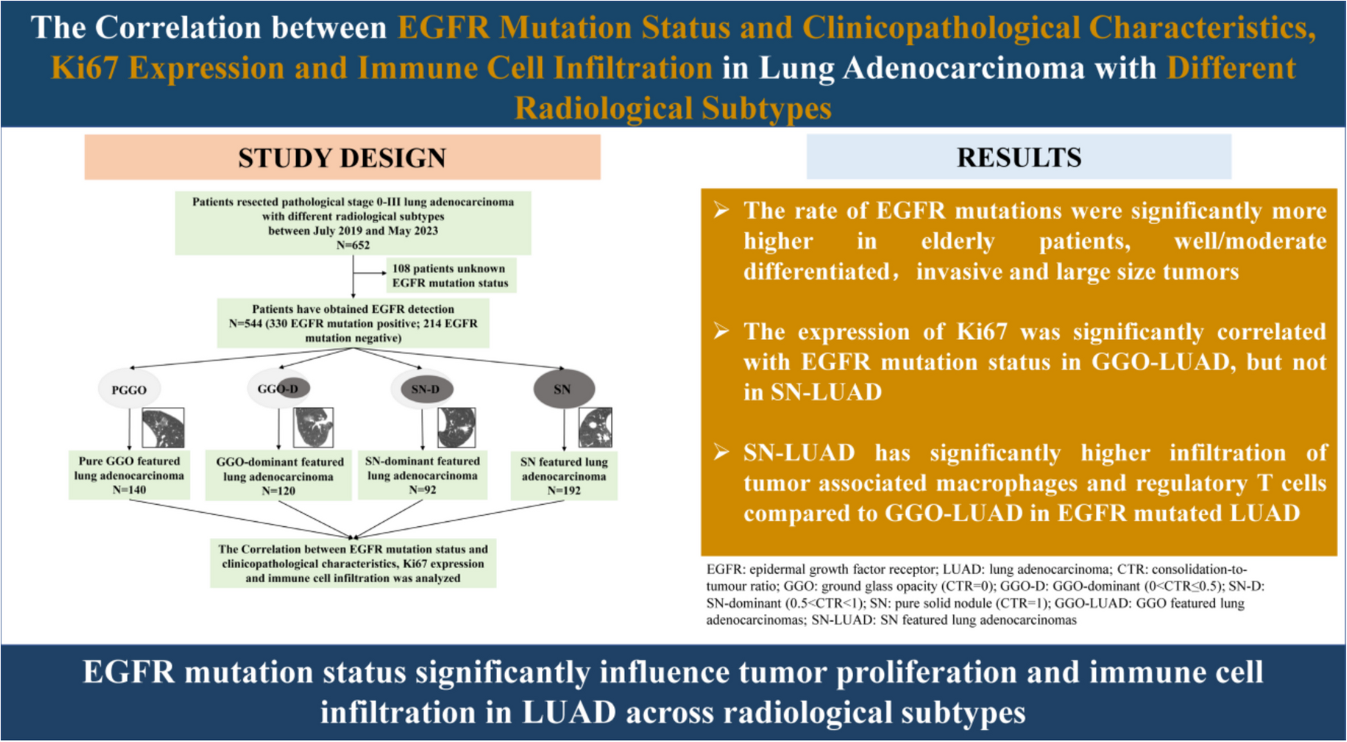 The correlation between EGFR mutation status and clinicopathological characteristics, Ki67 expression and immune cell infiltration in lung adenocarcinoma with different radiological subtypes