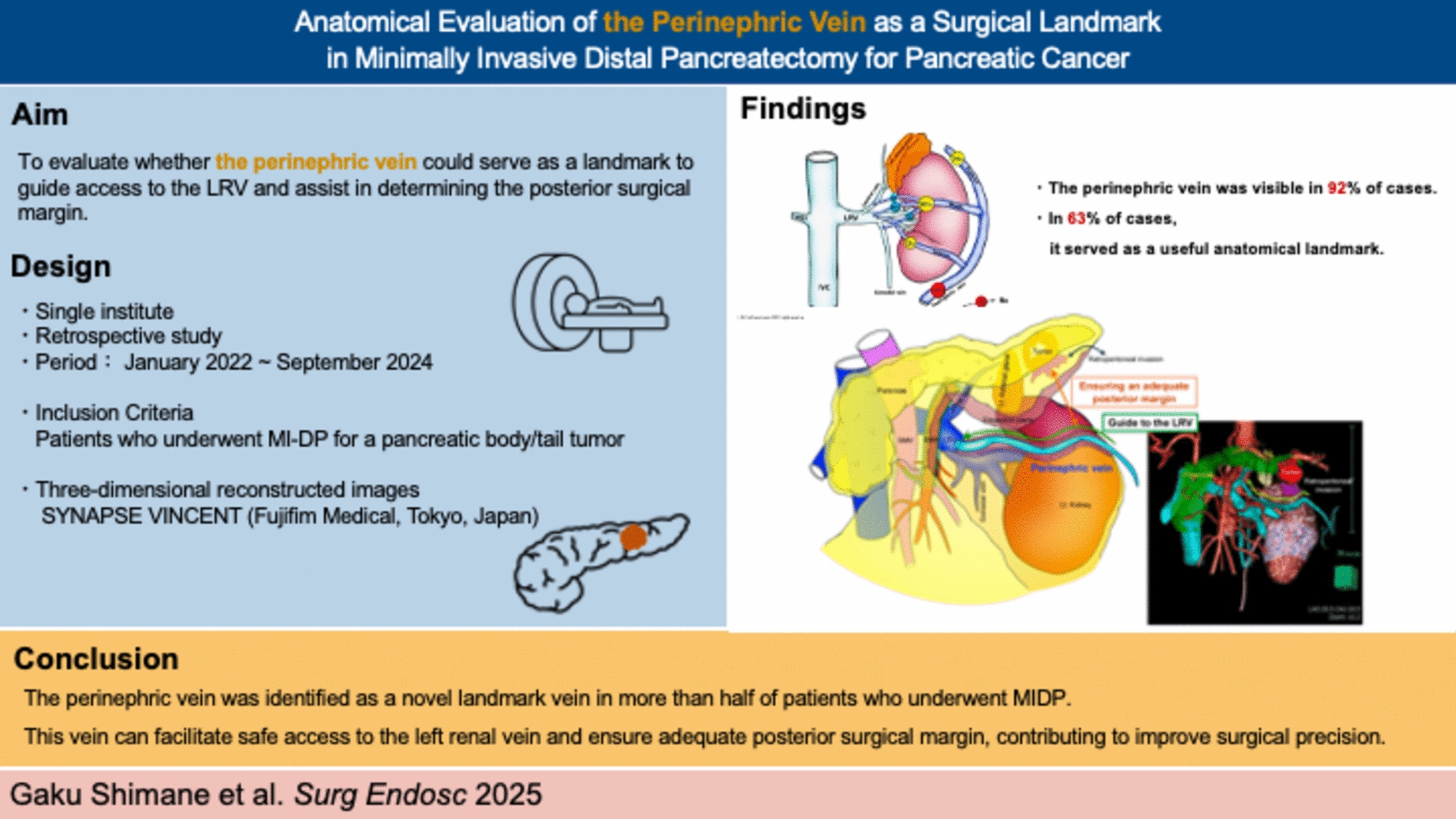 Anatomical evaluation of the perinephric vein as a surgical landmark in minimally invasive distal pancreatectomy for pancreatic cancer