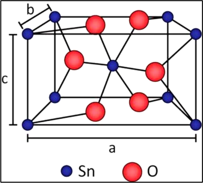 Antimicrobial potential of polymer-based bio-nanocomposites using infrared thermography and molecular  of SnO against pathogens