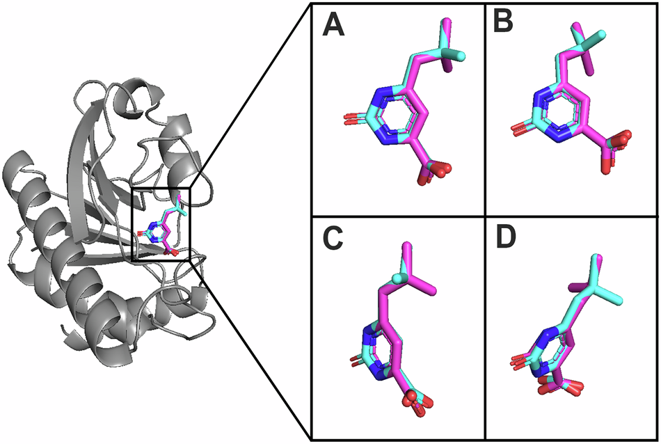 Bioisosteric and Virtual Screening Approach to Identify Natural Inhibitors of  nsP3