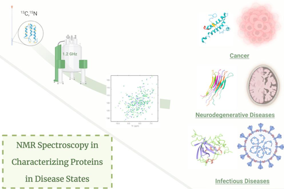Pathogenic Proteins Through the Lens of NMR Spectroscopy: Structural and Functional Insights into Disease