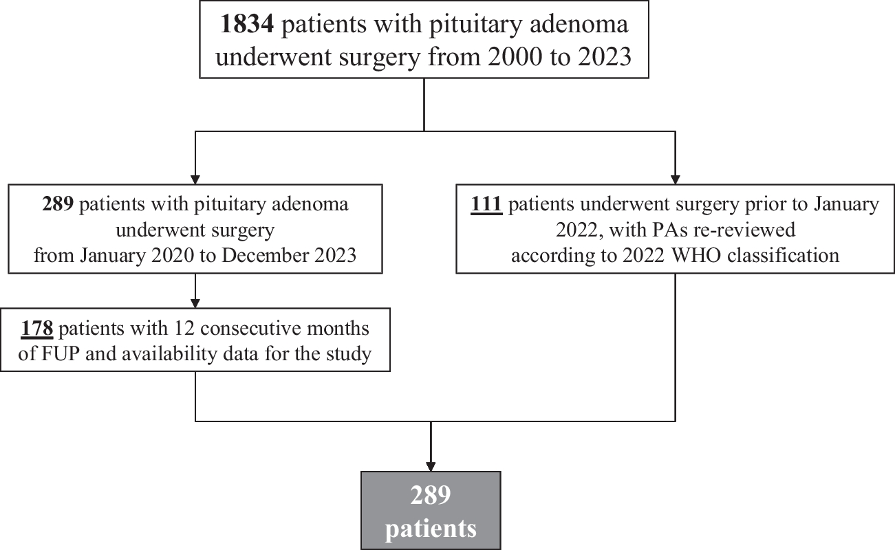 The clinicopathological PANOMEN-3 classification predicts pituitary adenoma prognosis: a real-world retrospective single center study of a surgically treated cohort