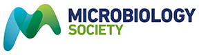 The bibliometric analysis of documents concerning the relationship between the microbiota and urological malignancies
