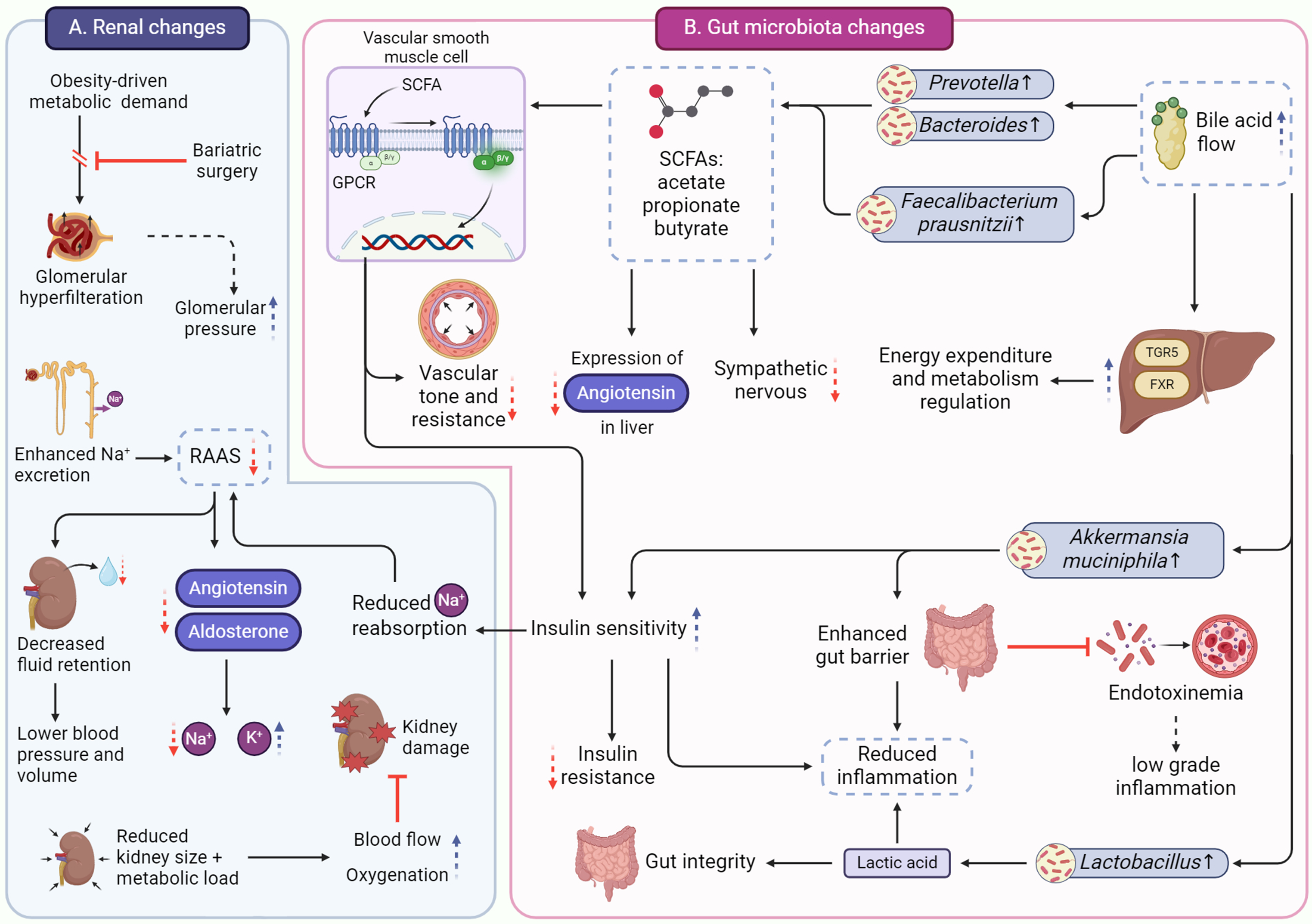 Hypertension Remission After Bariatric Surgery: Metrics, Mechanisms, and Patient Selection
