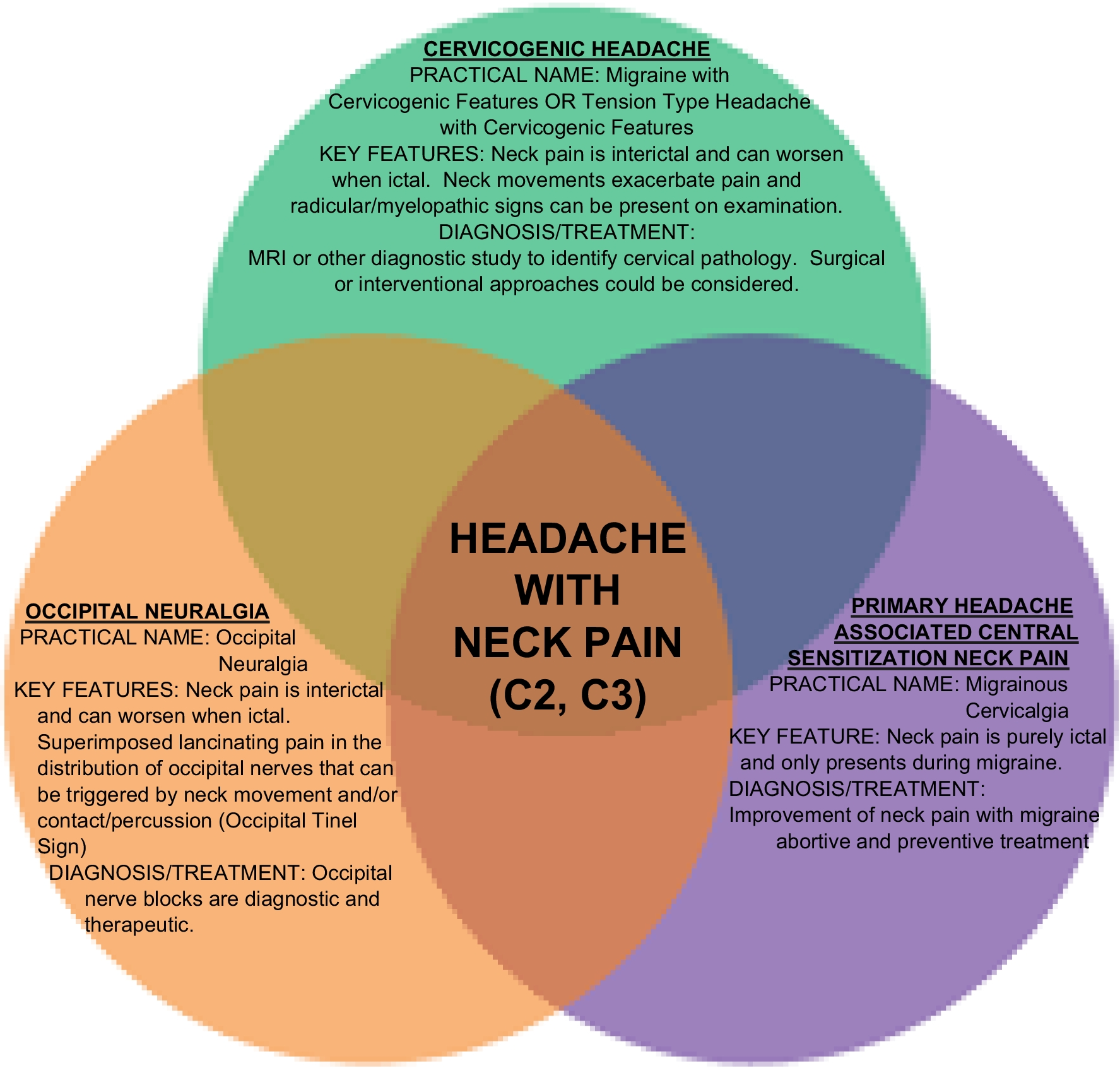 A Pain in the Neck: Occipital Neuralgia vs. Cervicogenic Headache vs. Migrainous Cervicalgia