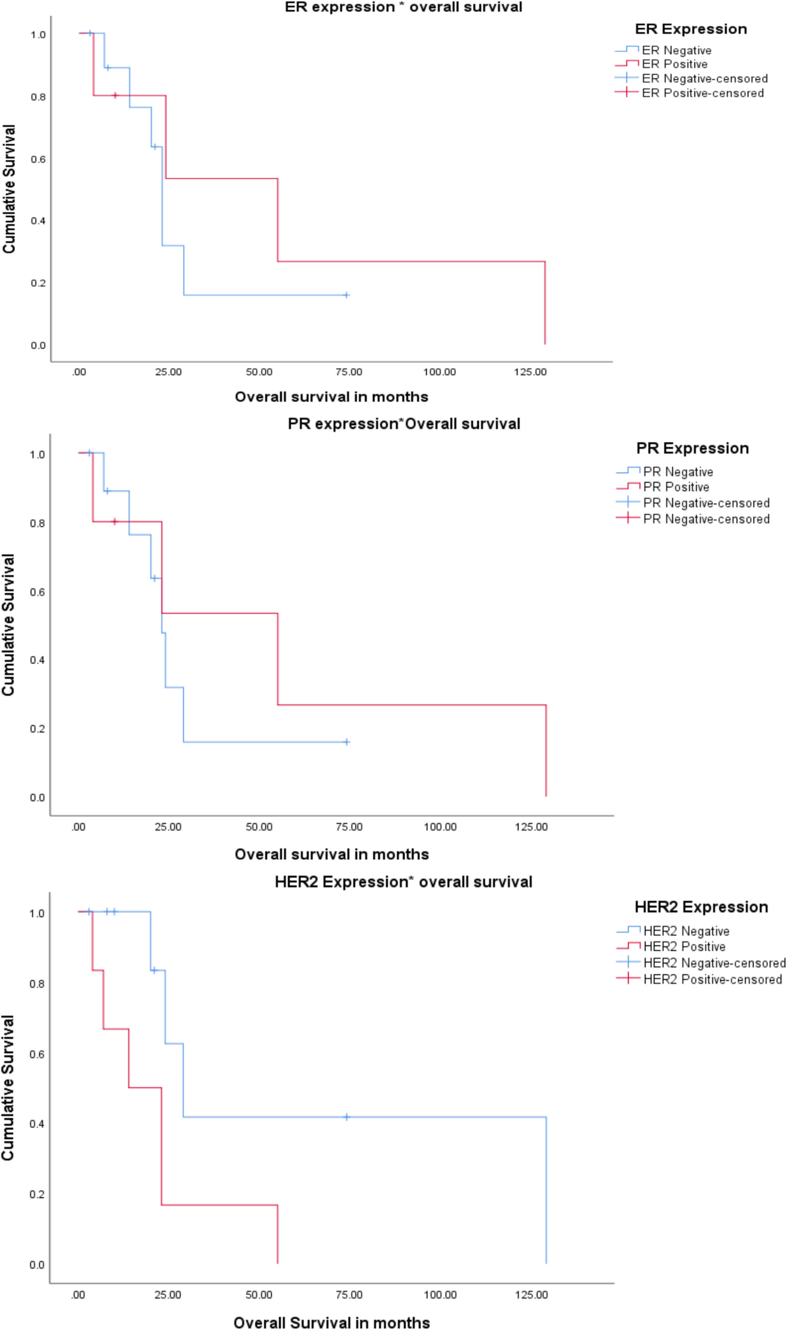 Concordance of Receptor Expression Status in the Primary Breast Tumor and in Breast Cancer Metastasized into the Brain: Analysis from an Indian Cohort Prospective Study (CTRI/2022/01/039599)