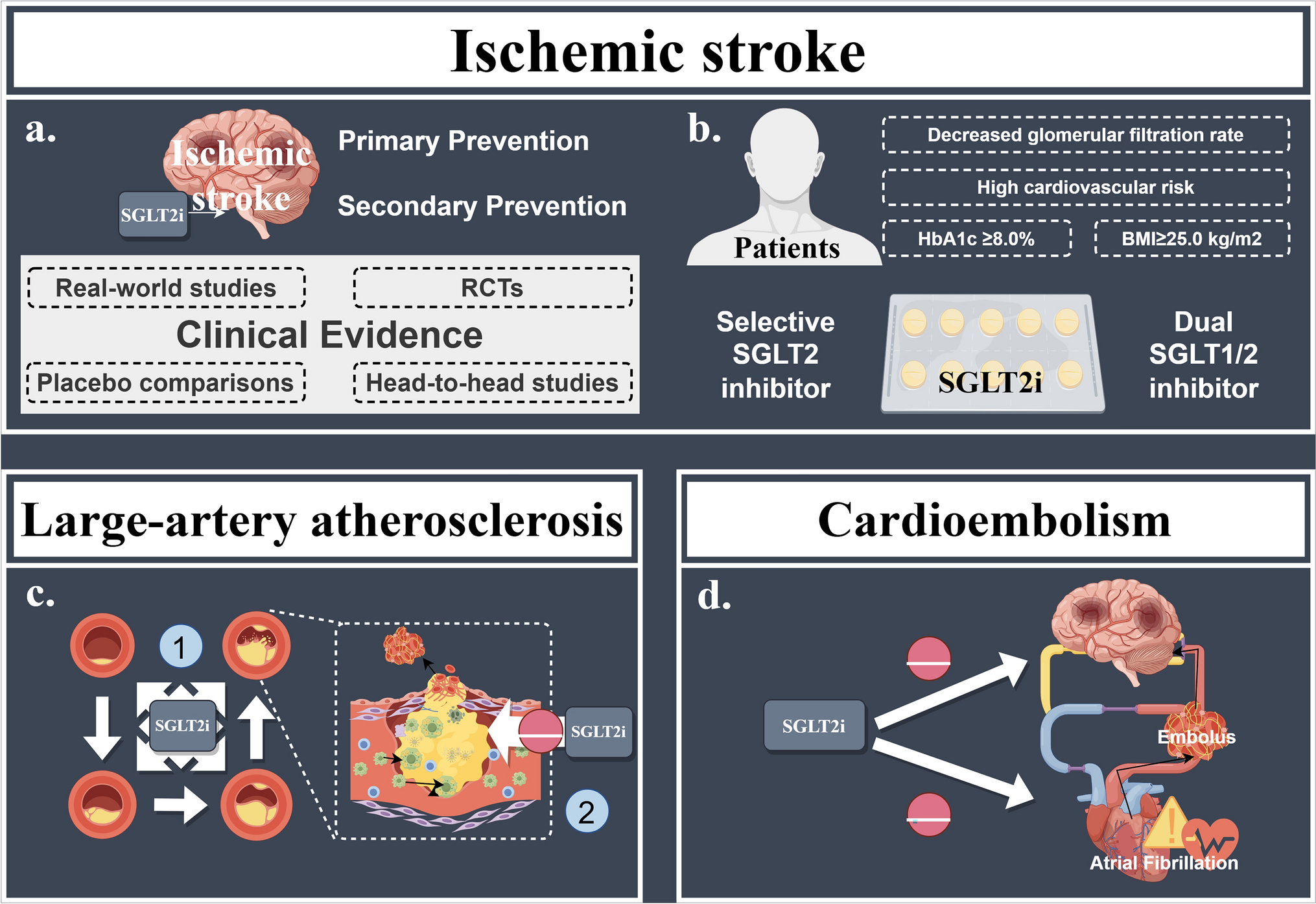 Sodium–Glucose Cotransporter 2 Inhibitors: An Emerging Therapeutic Approach for Ischemic Stroke Management