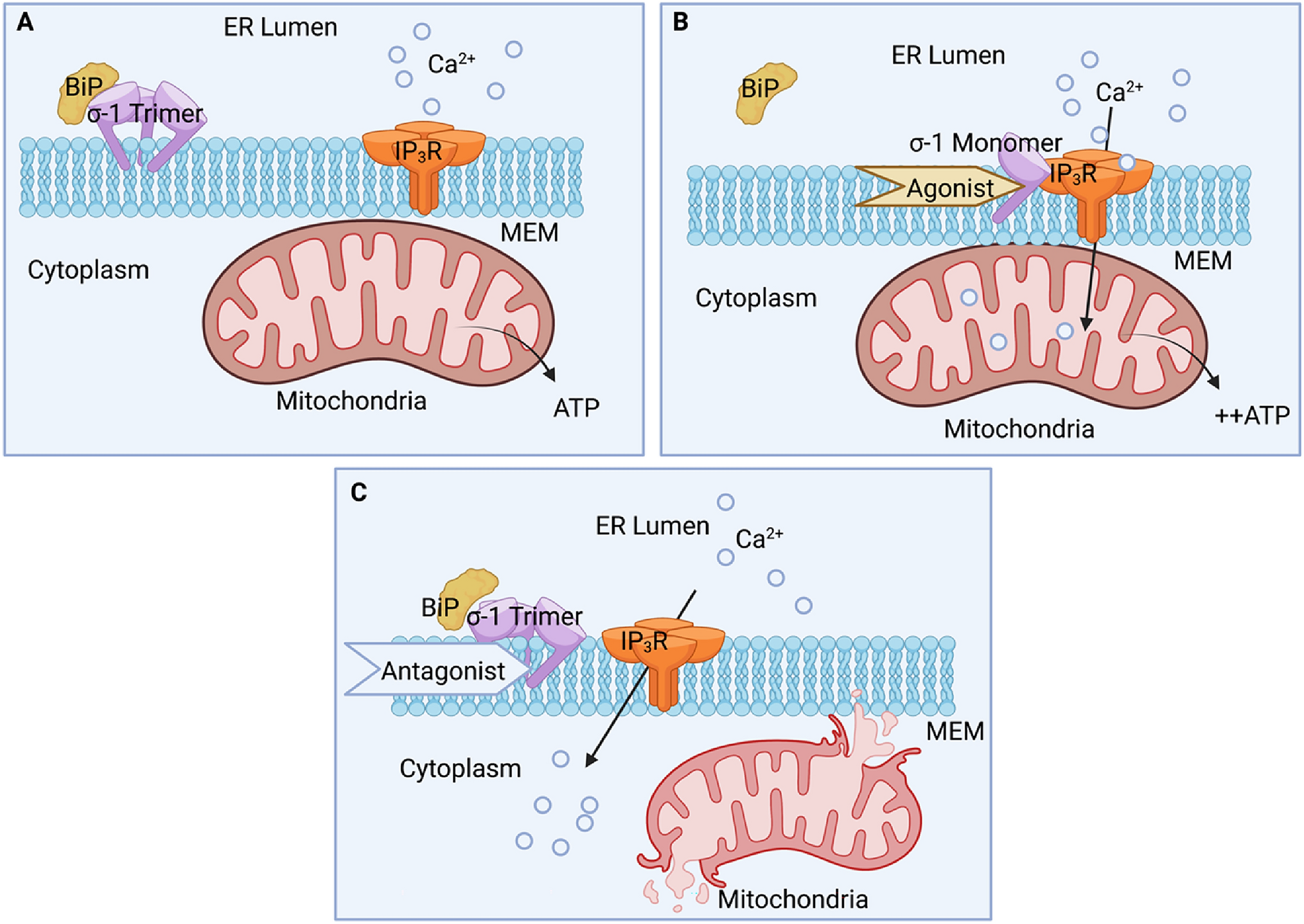 Sigma-1 Receptor Ligands for CNS Cancer Treatment