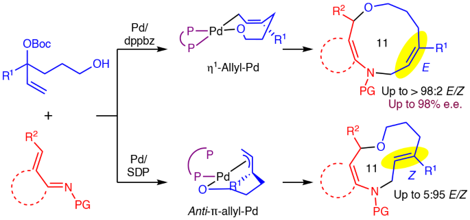 Divergent access to E- or Z-trisubstituted medium-sized cycloalkenes by Pd-catalysed cycloaddition