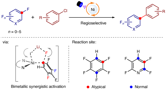 Selective arylation of atypical C–F bonds in polyfluoroarenes with aryl chlorides