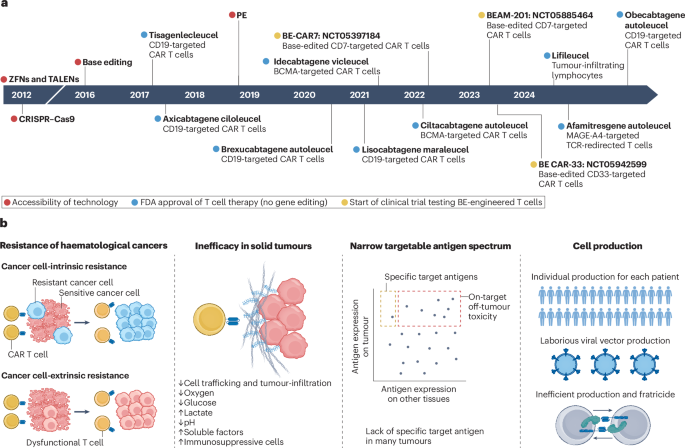Next-generation T cell immunotherapies engineered with CRISPR base and prime editing: challenges and opportunities