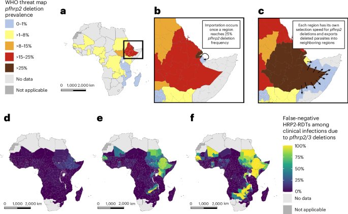 Modeling the threat of pfhrp2/3 gene deletions for malaria diagnosis