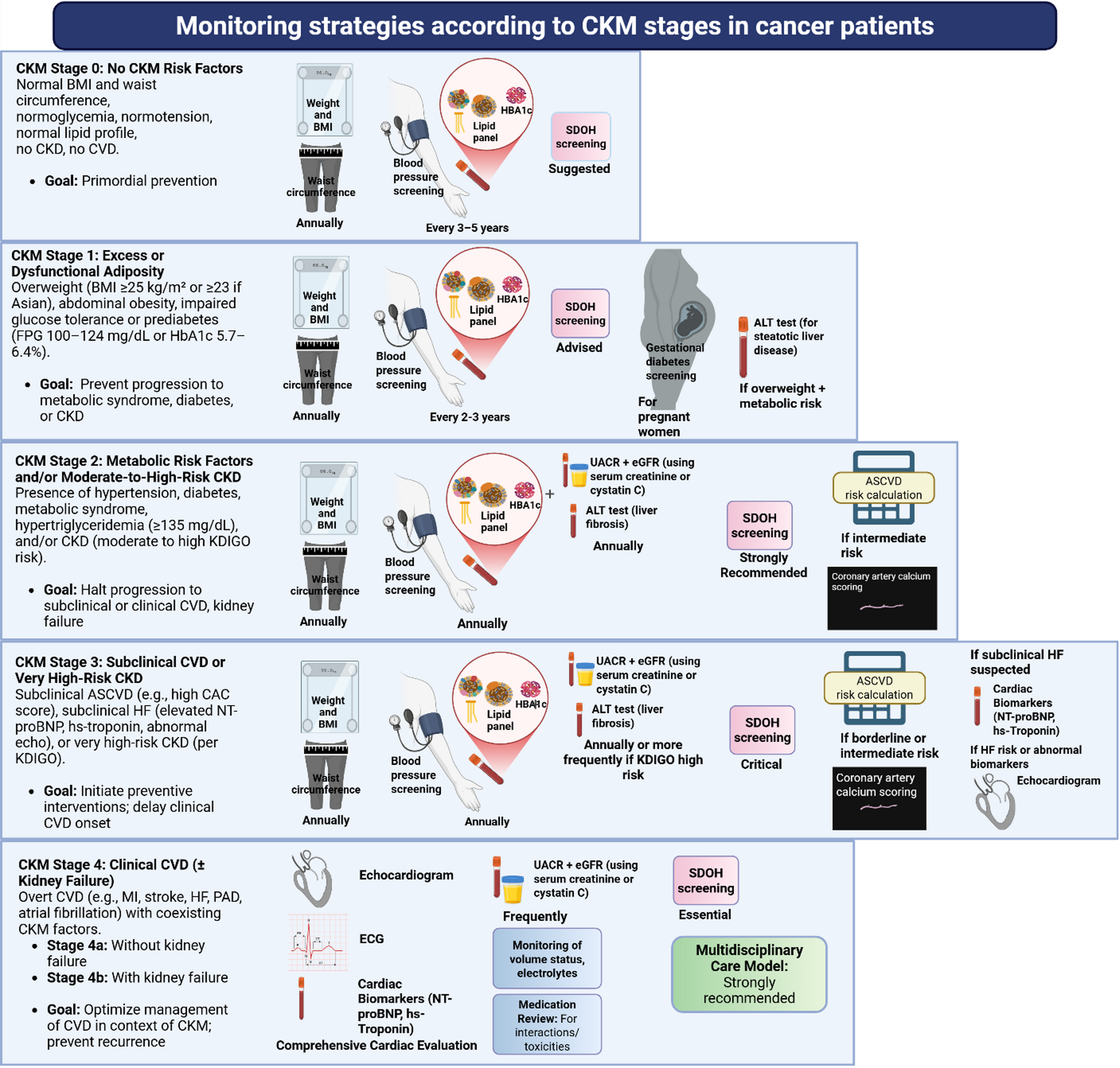 Tackling the Cardio-Kidney-Metabolic Burden in Cancer