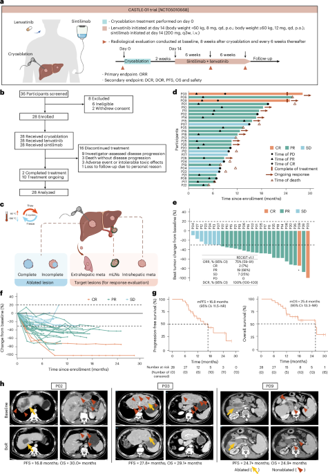 Cryoablation plus sintilimab and lenvatinib in advanced or metastatic intrahepatic cholangiocarcinoma: a phase 2 trial