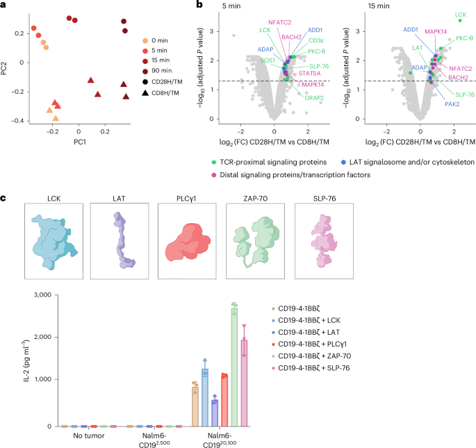Engineering T cells with a membrane-tethered version of SLP-76 overcomes antigen-low resistance to CAR T cell therapy