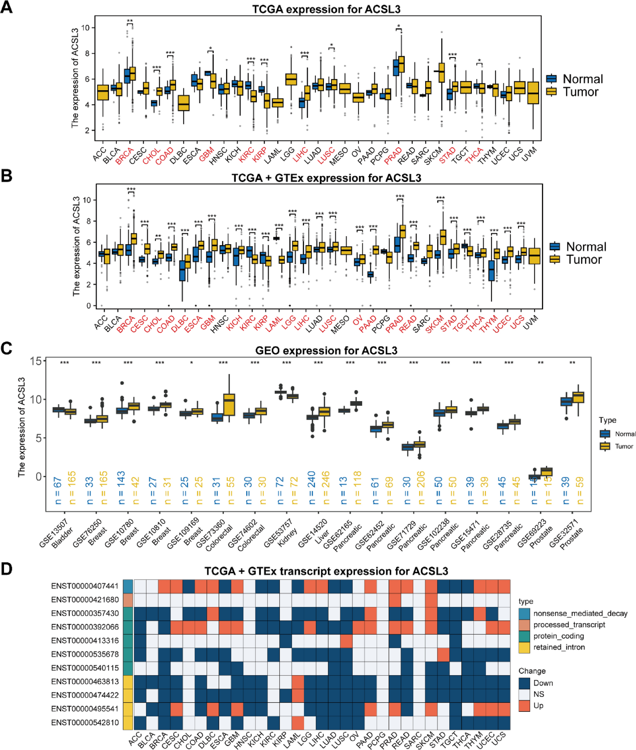 Multidimensional analysis reveals the potential of ACSL3 as a cancer biomarker: from pan-cancer exploration to functional validation in hepatocellular carcinoma