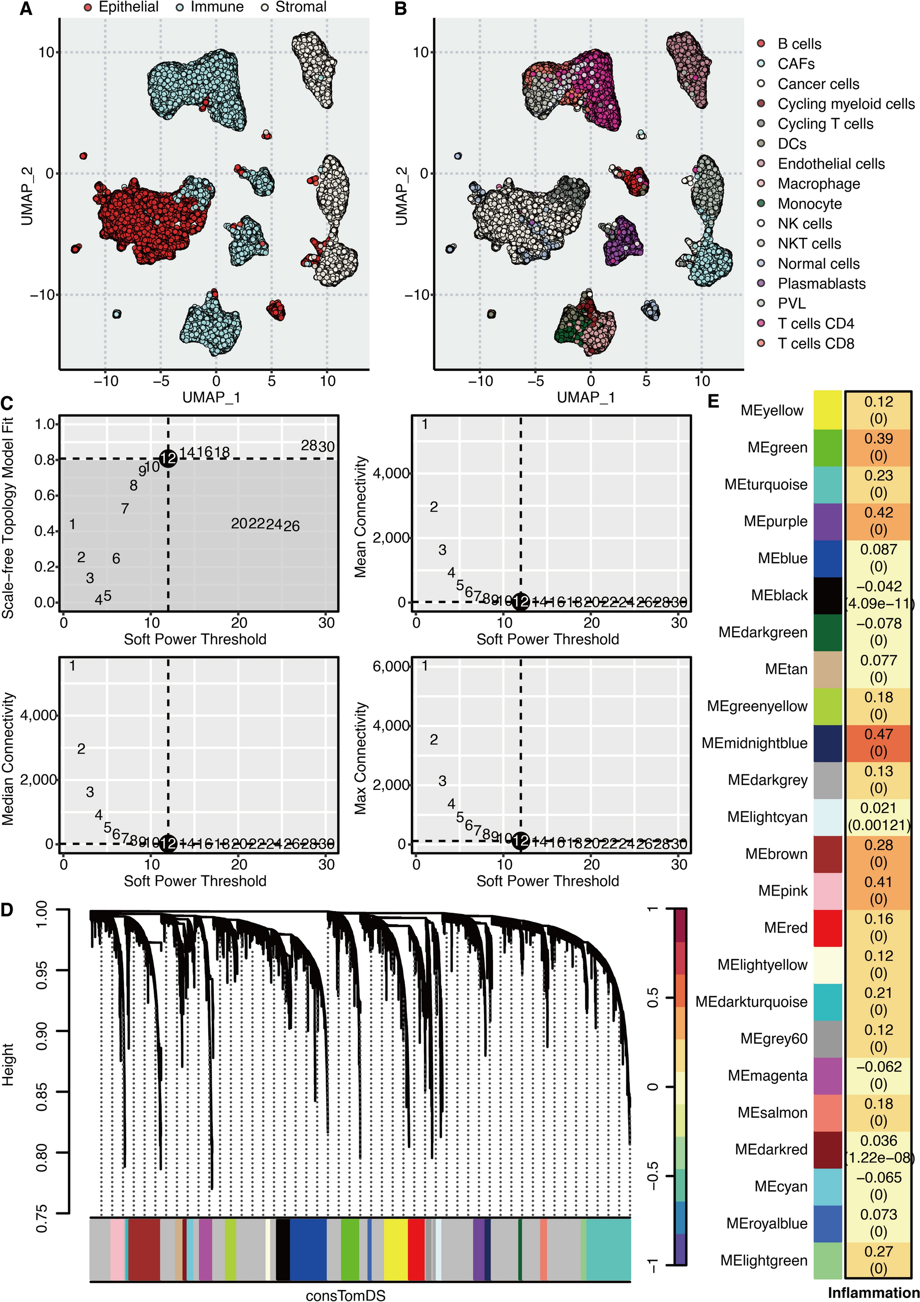 FLT3LG as an inflammatory hub bridging tumor immune surveillance to therapy response in breast cancer