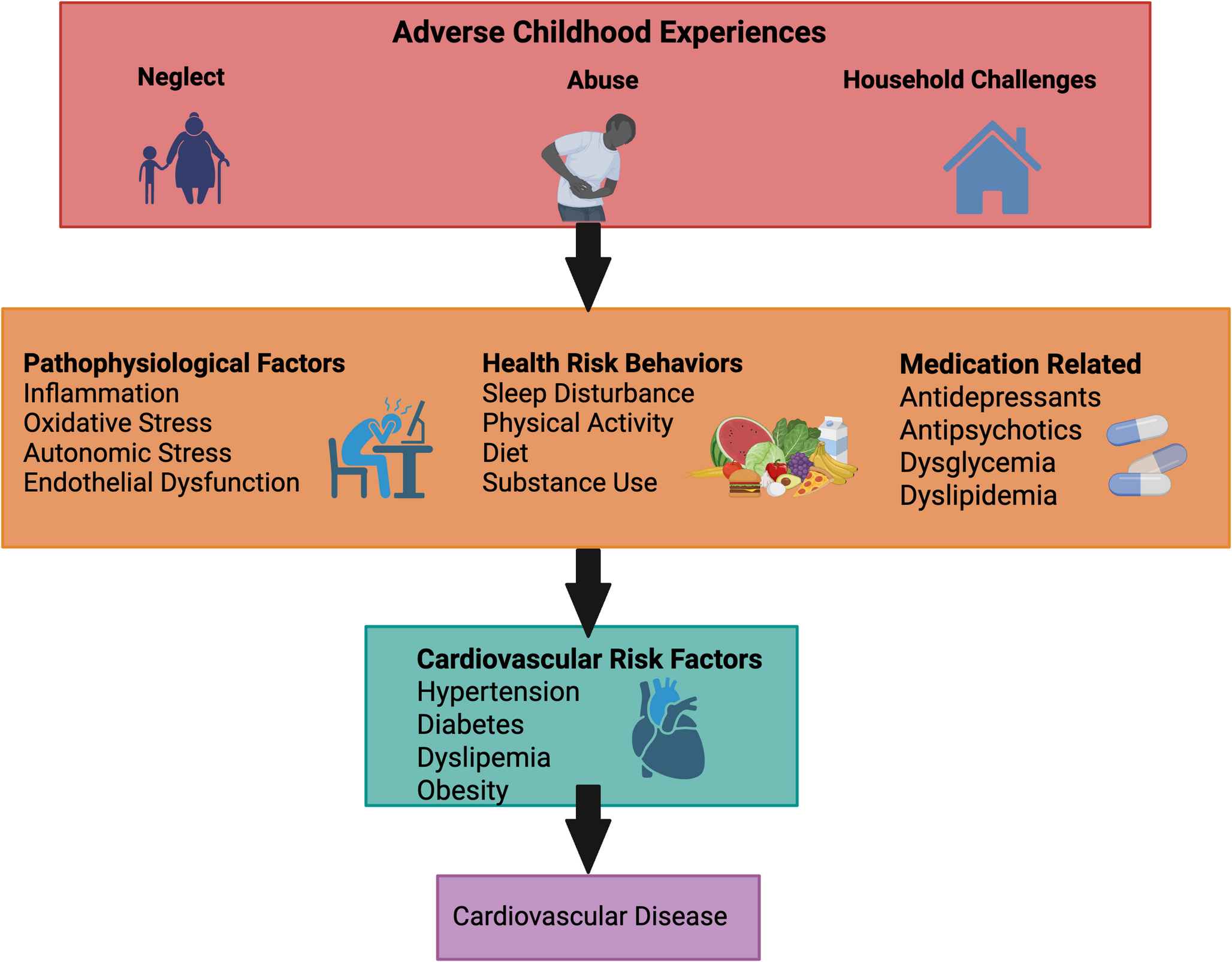Impact of Adverse Childhood Experiences on Cardiovascular Health across the Lifespan