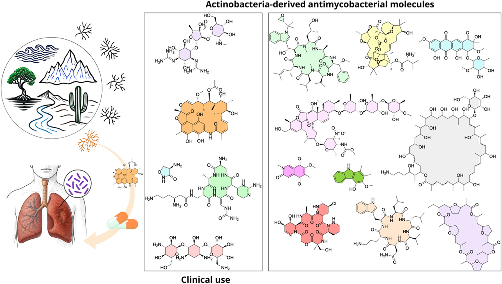 Harnessing Actinobacteria secondary metabolites for tuberculosis drug discovery: Historical trends, current status and future outlooks
