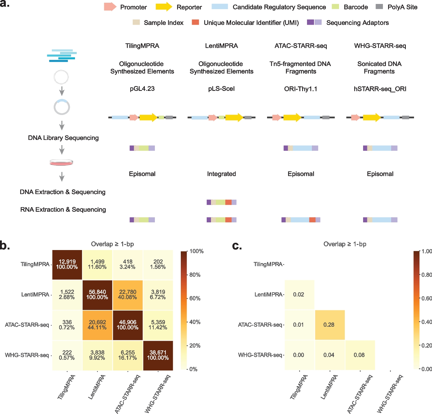 Comprehensive evaluation of diverse massively parallel reporter assays to functionally characterize human enhancers genome-wide