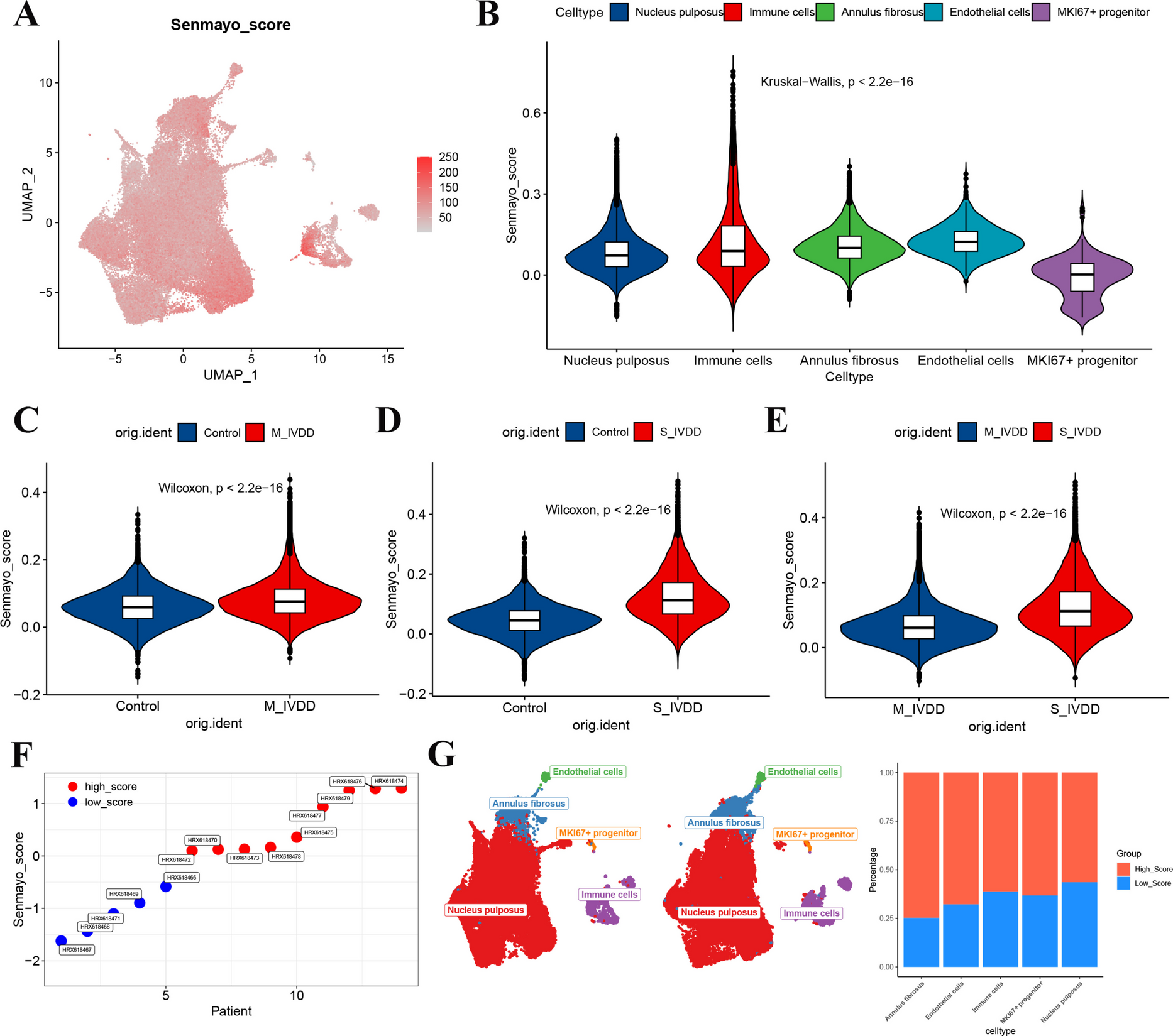 An integrated multi-algorithm analysis to decipher senescence and metabolic characteristics in nucleus pulposus cells during disc degeneration