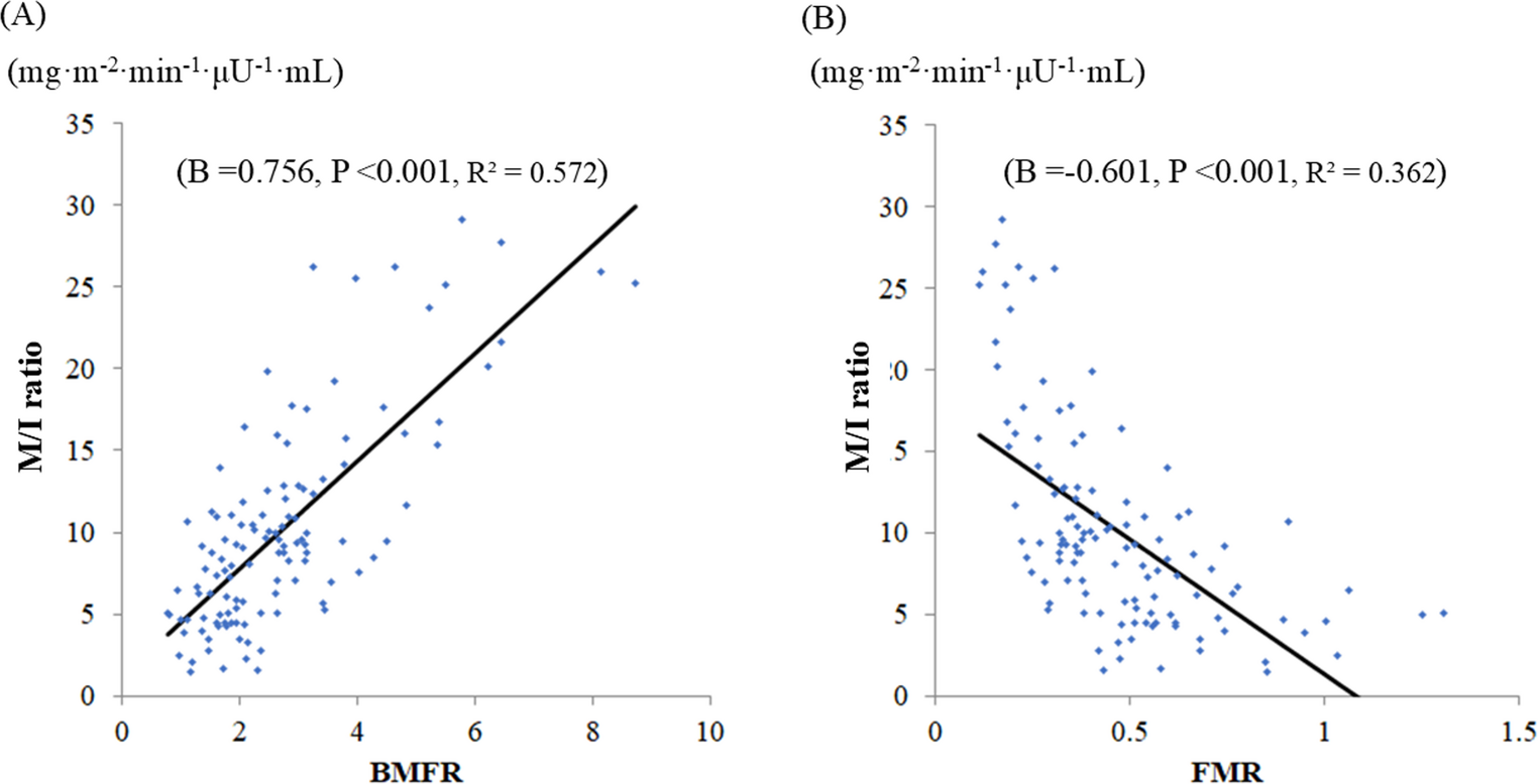 Body Muscle-to-Fat Ratio (BMFR) as a Promising Anthropometric Index for Use in the Evaluation of Insulin Resistance and Metabolic Disease Risk: a Narrative Review