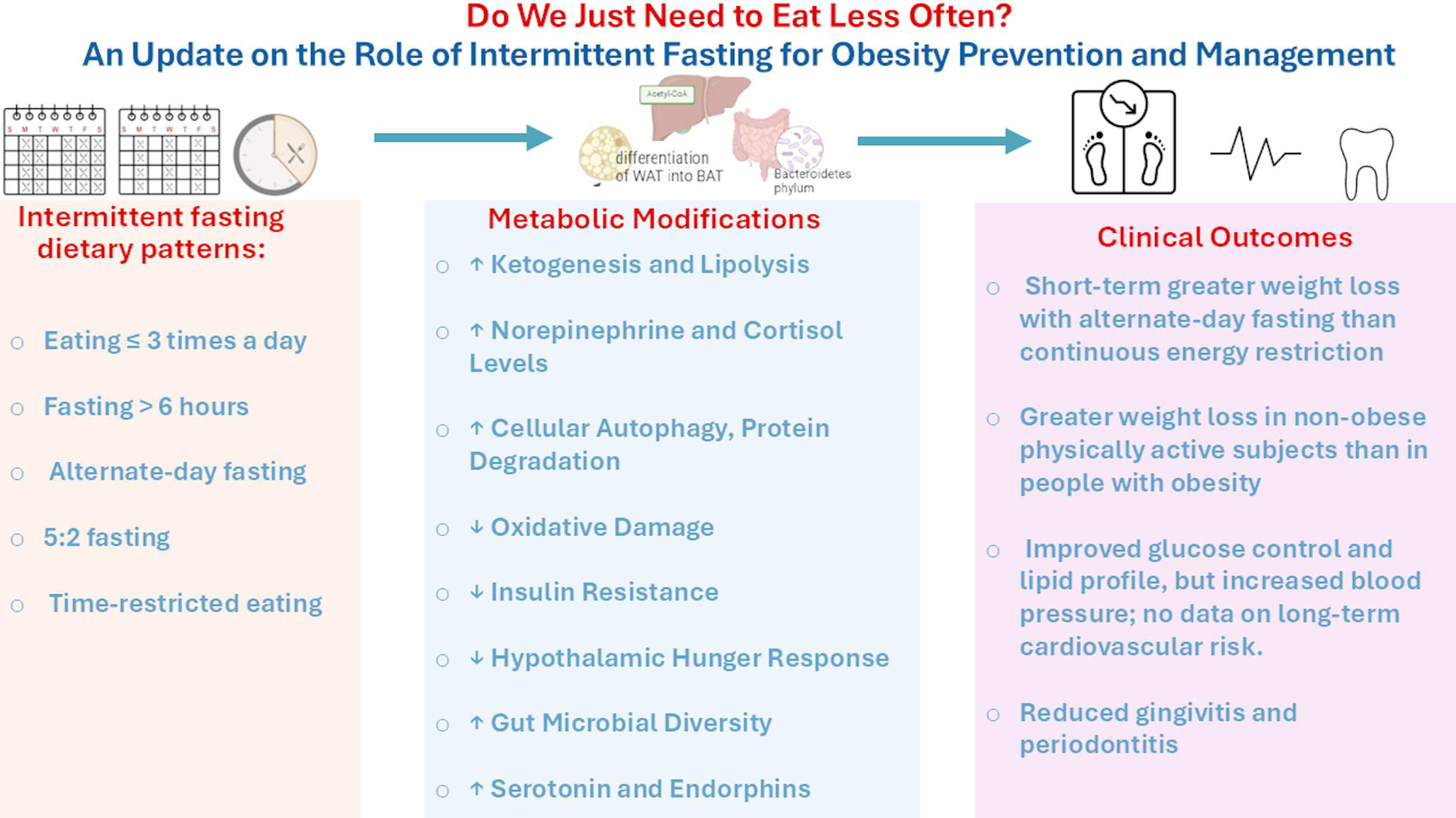 Do We Just Need To Eat Less Often? An Update on the Role of Eating Frequency and Intermittent Fasting for Obesity Prevention and Management