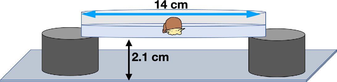Not too different:  learning at the pondside and in the lab