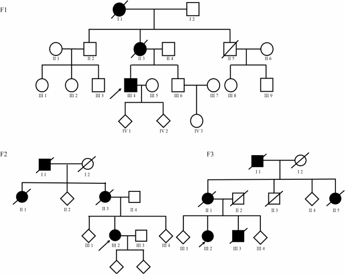 Characterization of the genetic and clinical landscapes of DCTN1 gene in neurodegenerative diseases: a series of large case-control study