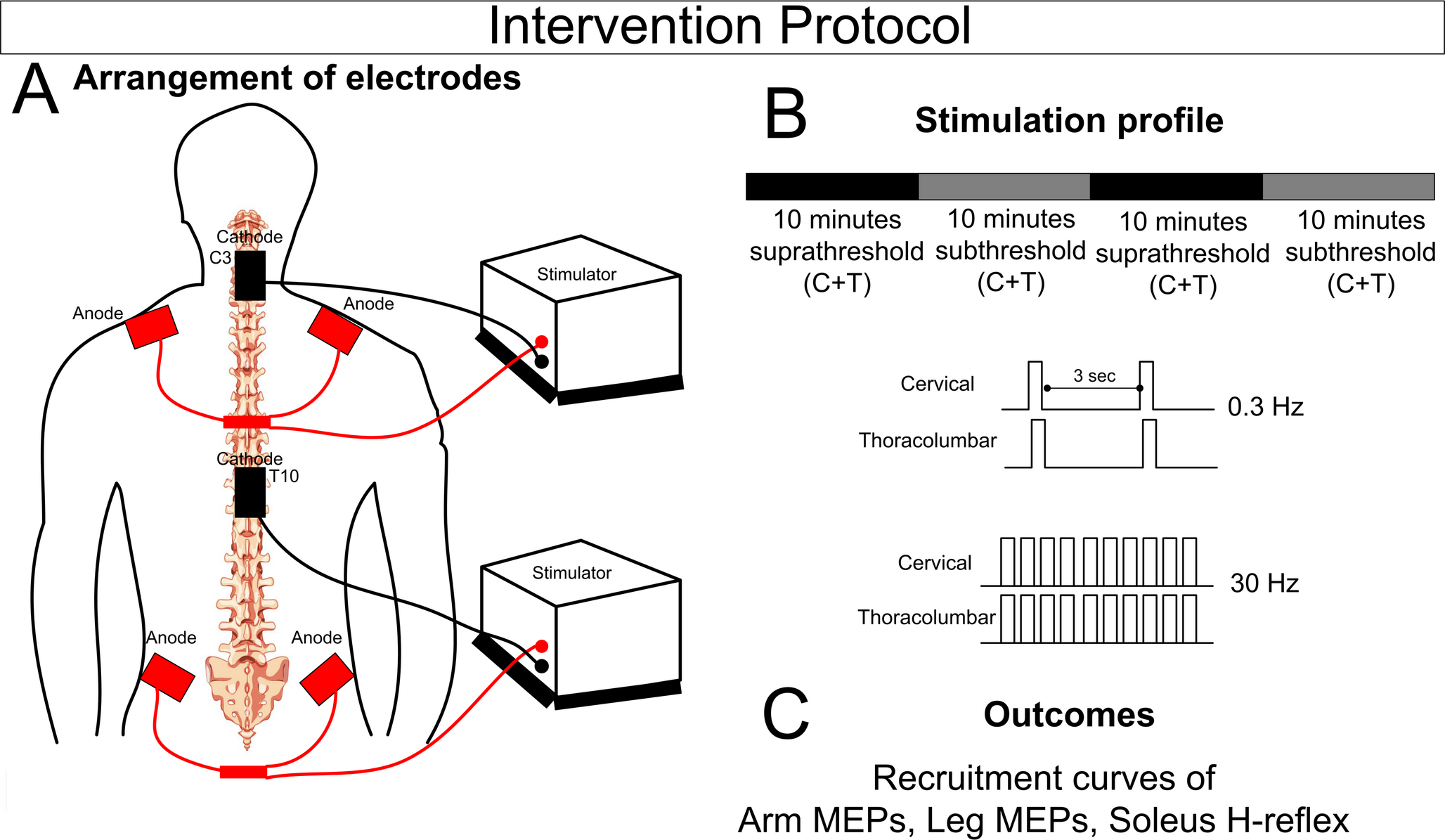 Cervical and thoracolumbar transspinal stimulation at 0.3 Hz and 30 Hz facilitates neuronal excitability in healthy humans: a randomized cross-over study