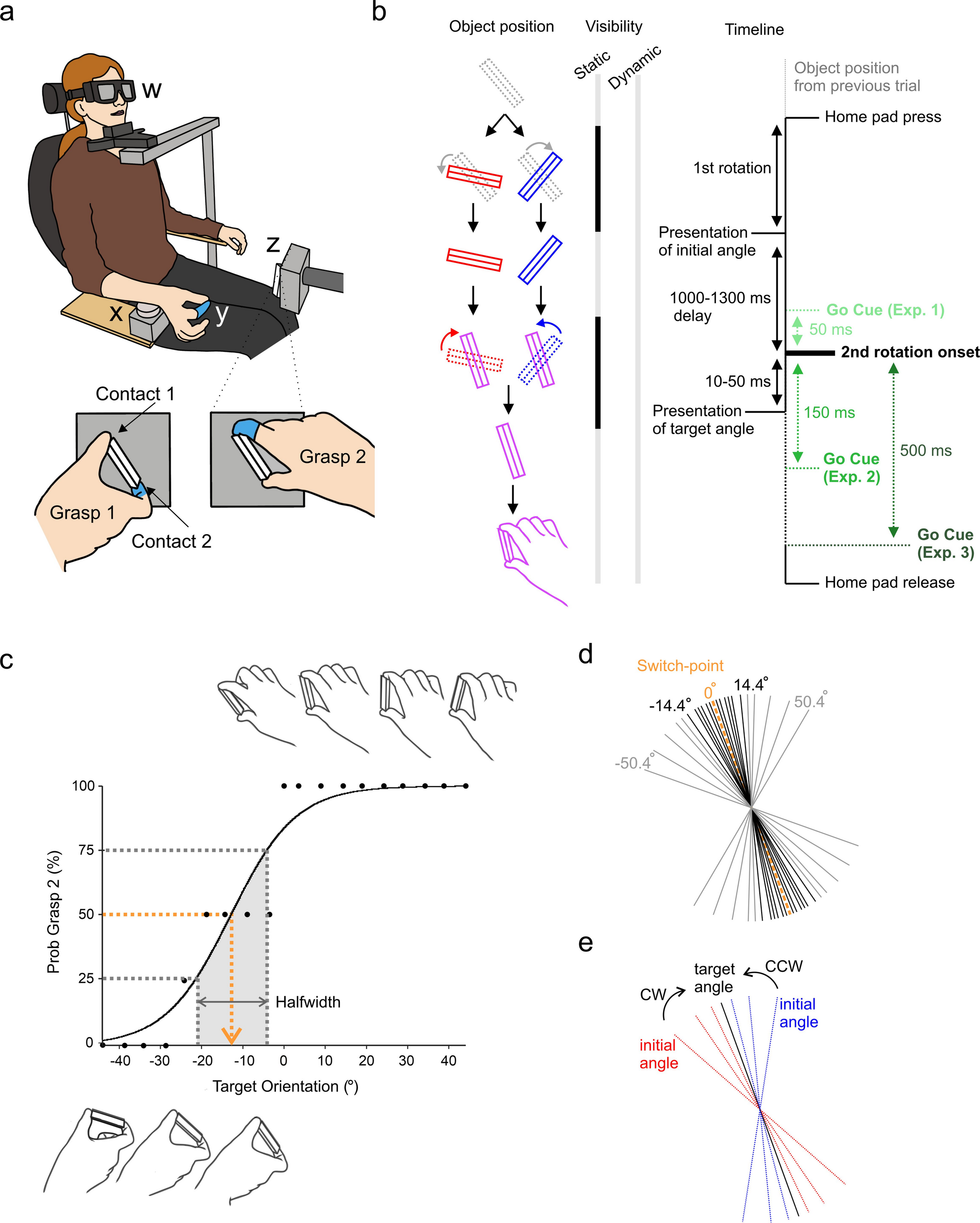 From static to dynamic: how object rotation influences grasp decisions in ambiguous settings