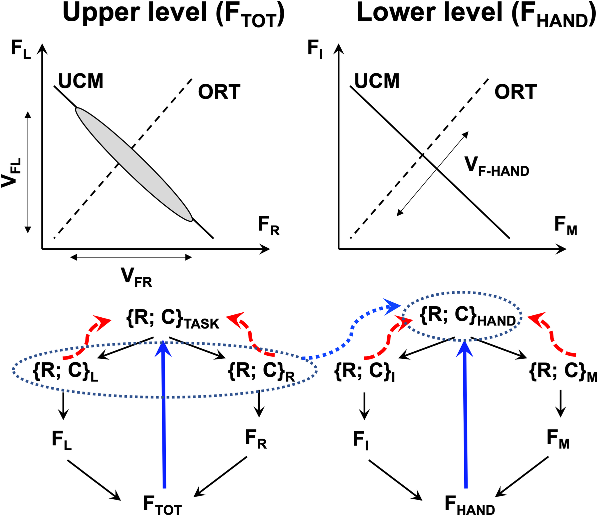 Stability of performance in a hierarchical system during isometric force production and effects of visual feedback