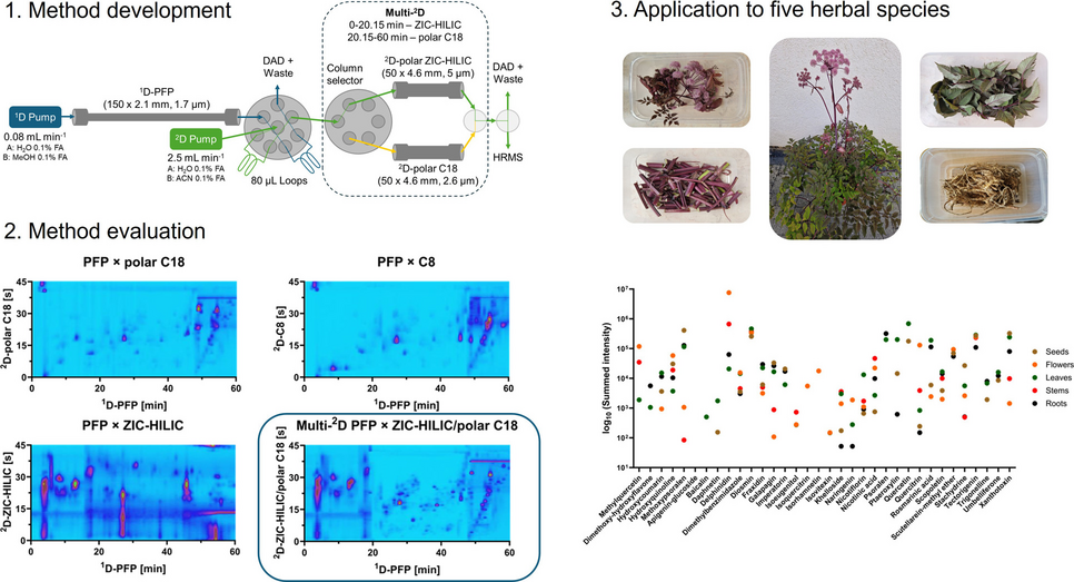 The benefits of multi-D LC × LC compared to LC × LC for the analysis of European herbal remedies
