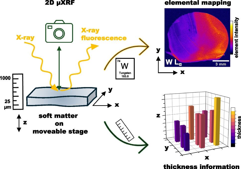 Compensating thickness effects in micro X-ray fluorescence spectroscopy using integrated optical microscopy for thickness determination of soft matter block copolymer membranes