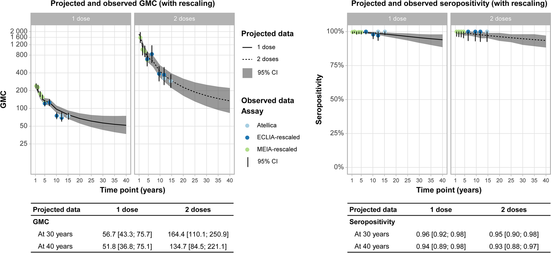 Long-Term Antibody Persistence After Hepatitis A Vaccination in Healthy Toddlers: Insights from Modeling