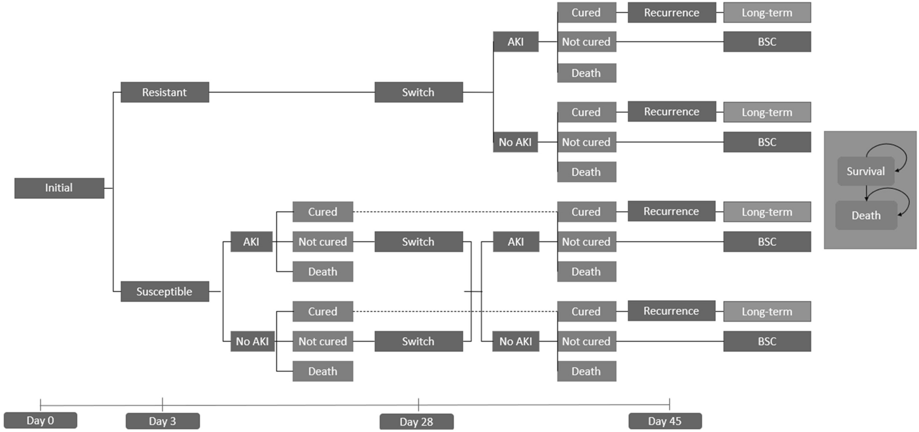 Cost-Effectiveness Analysis of Aztreonam–Avibactam Compared with Colistin Plus Meropenem in Treating Metallo-Beta-Lactamase-Producing Enterobacterales Infections in Spain