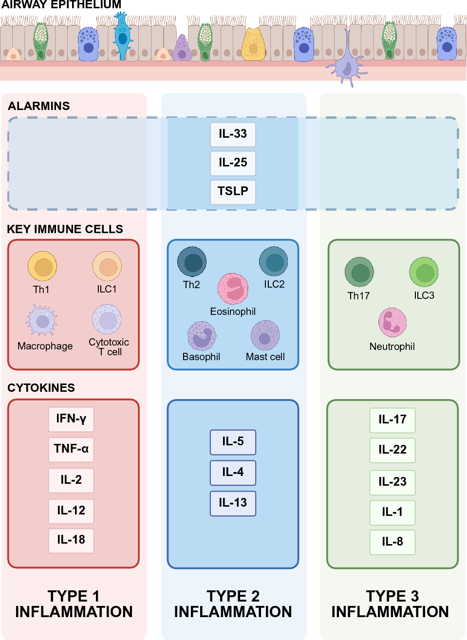 Biological Therapies in Chronic Obstructive Pulmonary Disease: New Directions in Personalised Respiratory Medicine