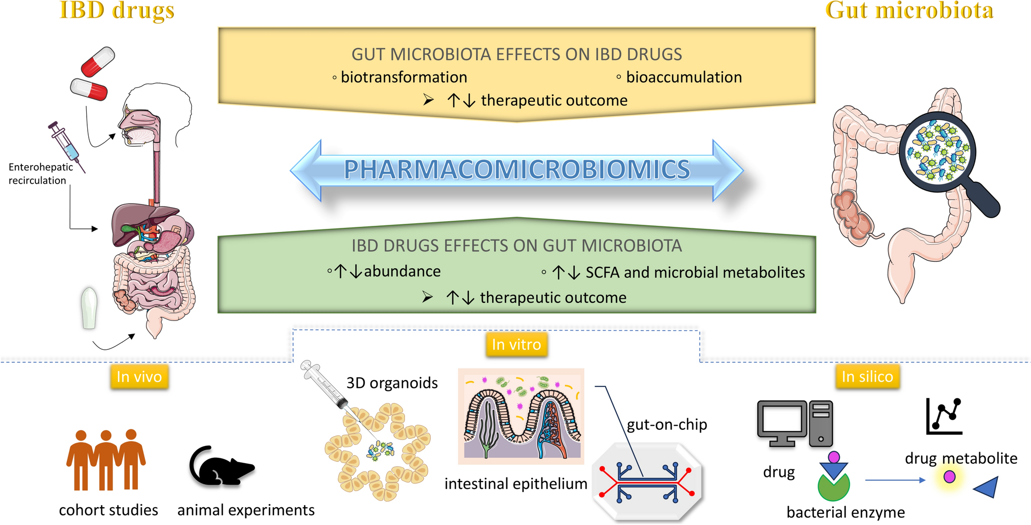Bidirectional Interplay Between IBD Therapies and the Gut Microbiota: A Pharmacomicrobiomic Approach to Personalized Treatment