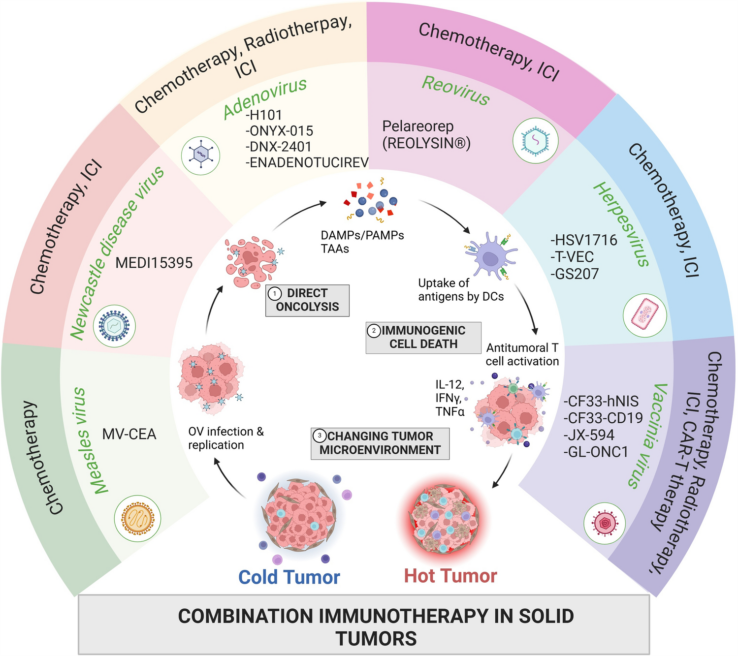 Oncolytic Virotherapy in Solid Tumors: A Current Review