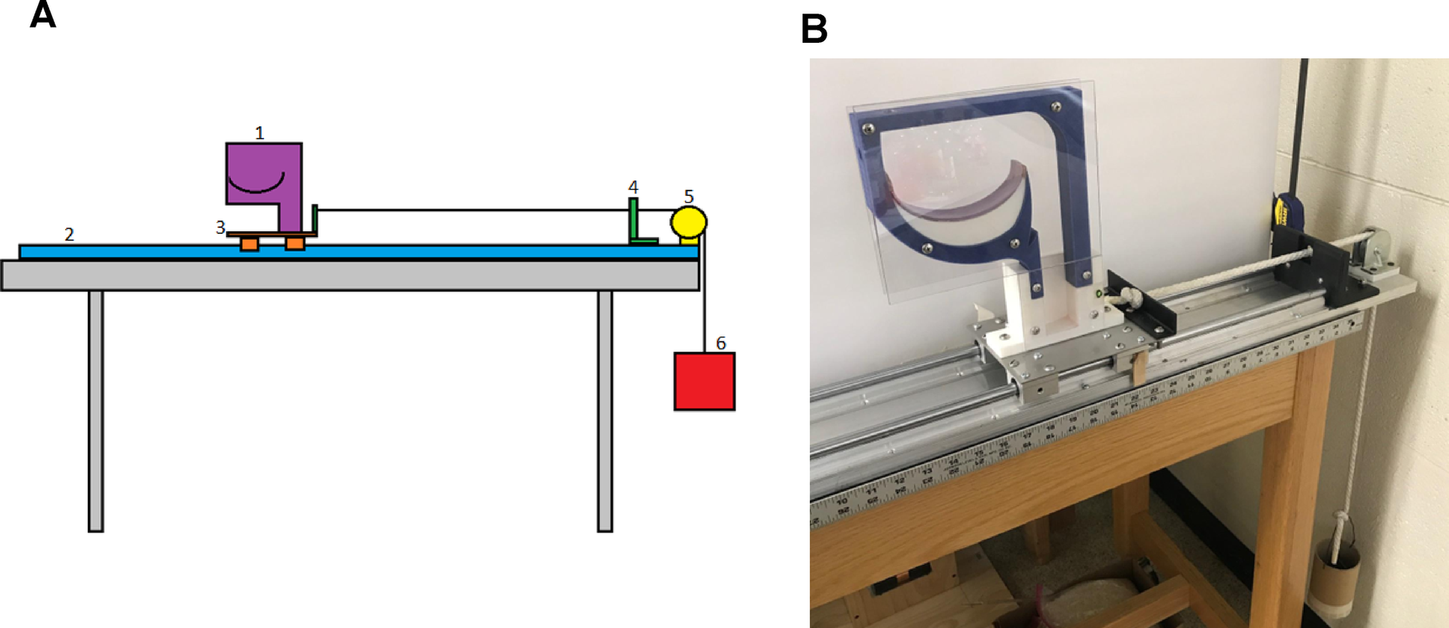 Experimental and Computational Analysis of Bolus Fragmentation during Model Oropharyngeal Swallowing