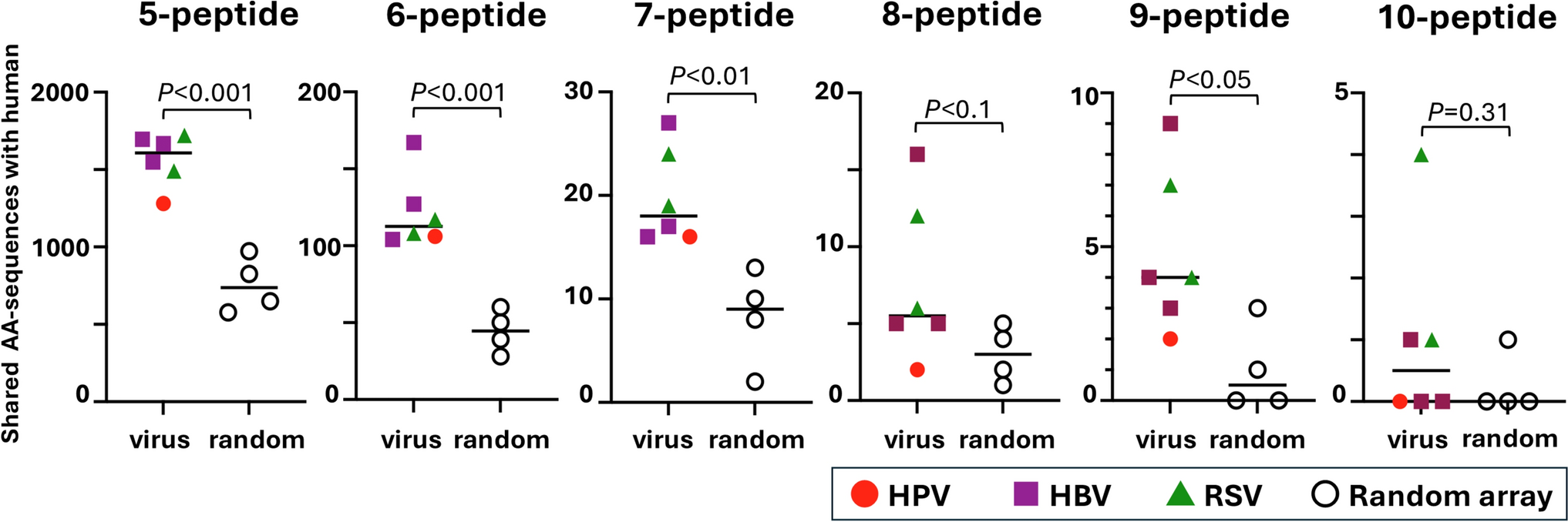 Lack of molecular mimicry between HPV vaccine L1 antigen and human proteins by a computational analysis