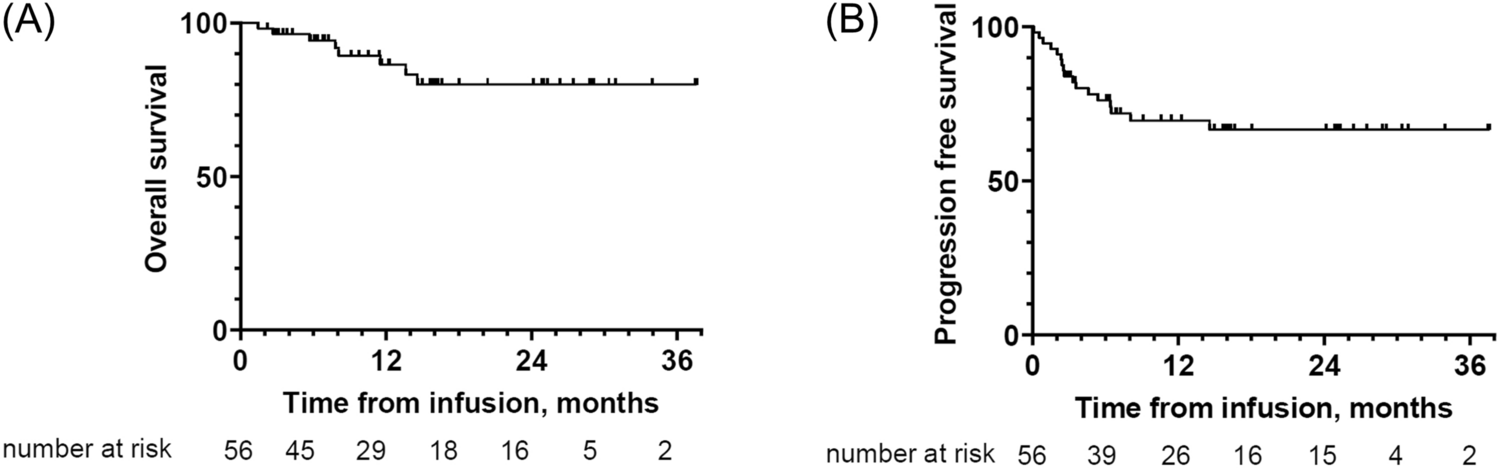 Real-world effectiveness and safety of lisocabtagene maraleucel for relapsed/refractory large B cell lymphoma in Japan