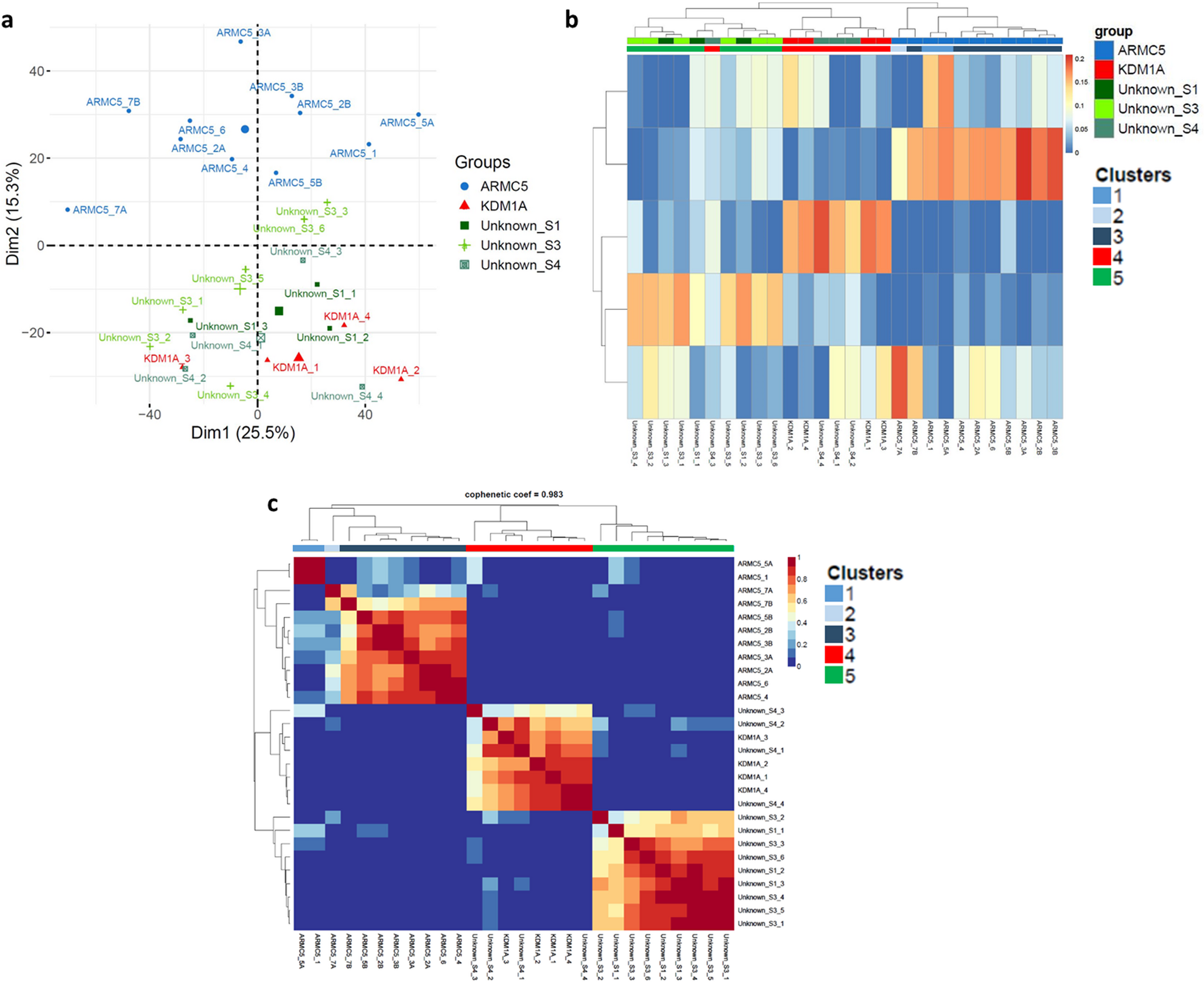 The Proteome of Bilateral Macronodular Adrenocortical Disease (BMAD) Shows Different Profiles Correlating with the Genetic Causes and Reveals Specific Dysregulation of RNA Polymerase II and Cholesterol Biosynthesis Enzymes