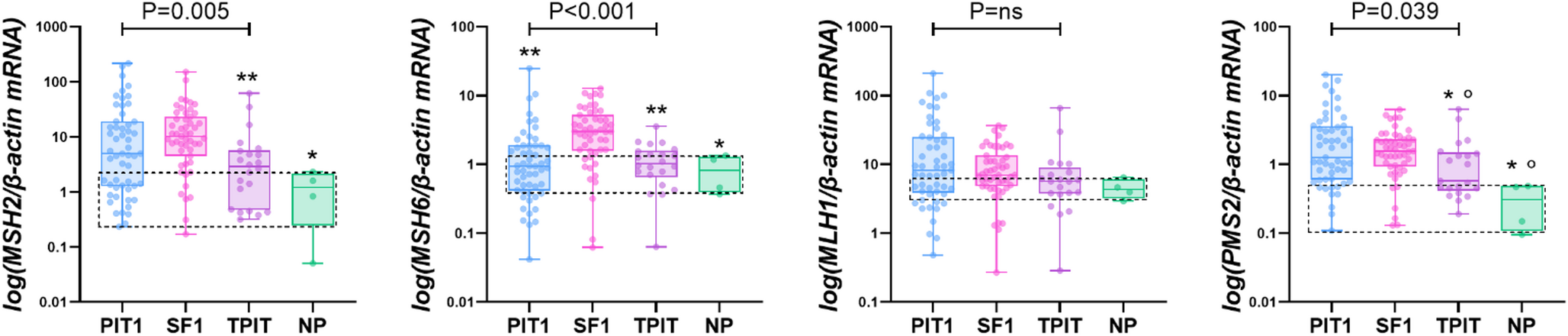 New Insights from the Expression of the Mismatch Repair System in Pituitary Neuroendocrine Tumors